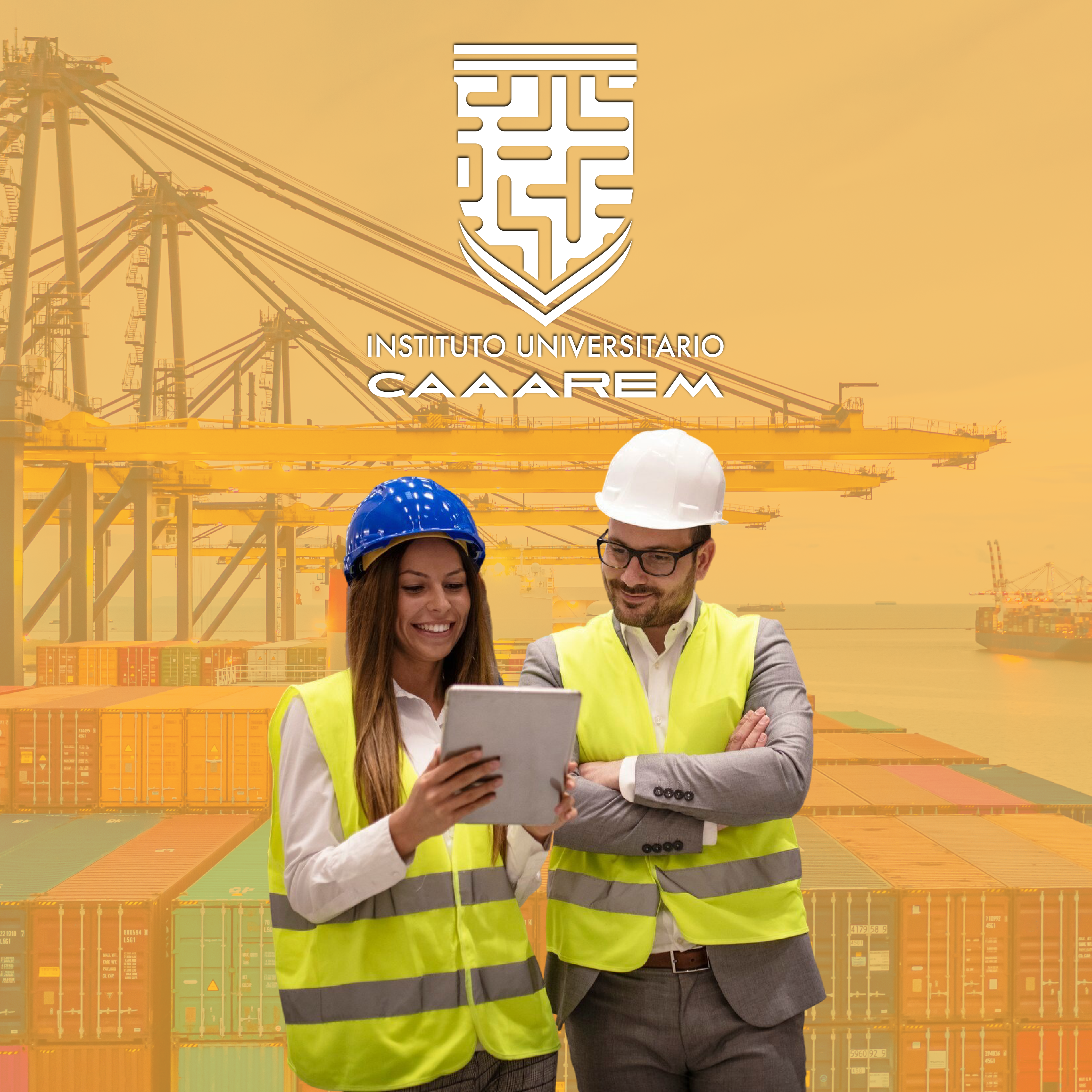 TÉCNICO SUPERIOR EN COMERCIO EXTERIOR Y ADUANAS