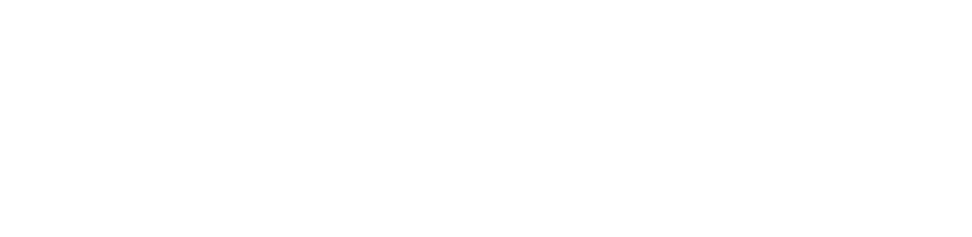 Instituto Universitario CAAAREM